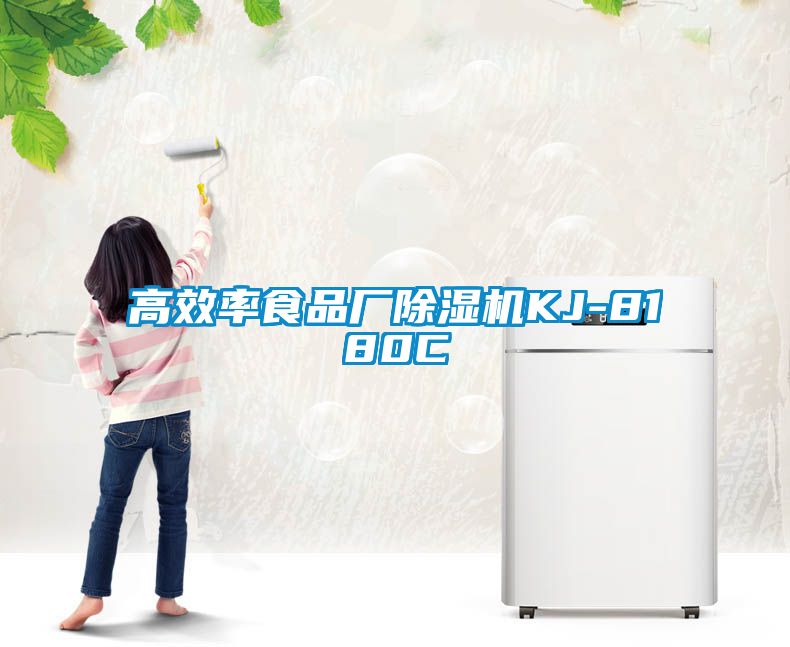 高效率食品廠(chǎng)除濕機(jī)KJ-8180C