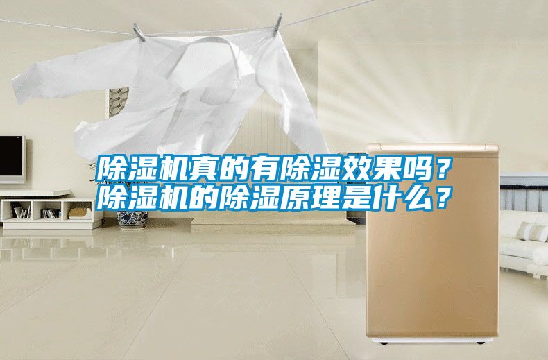 除濕機真的有除濕效果嗎？除濕機的除濕原理是什么？