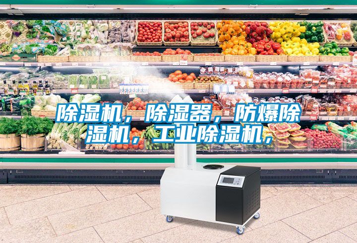 除濕機(jī)，除濕器，防爆除濕機(jī)，工業(yè)除濕機(jī)，