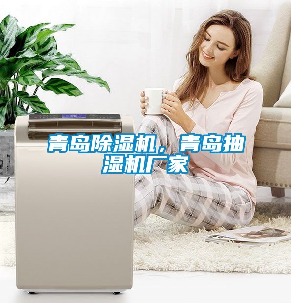 青島除濕機，青島抽濕機廠家